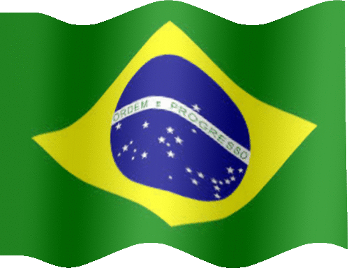 Resultado de imagem para bandeira brasil gif animado