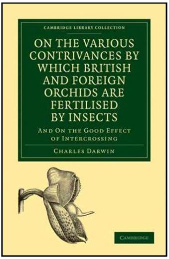 Coryanthes leucocorys - Livro Darwin JPG